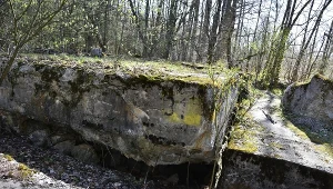 Pozostałości po niemieckich bunkrach, Mamerki 