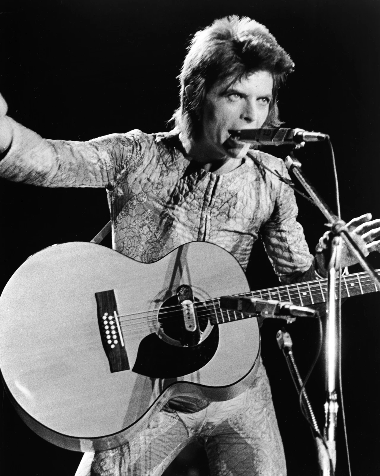 David Bowie David Bowie