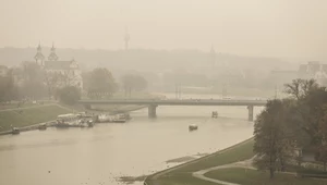 Minister: Samochody elektryczne sposobem na smog