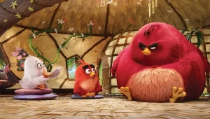 Kadr z filmu "Angry Birds"