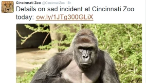 Wpis na twitterowym profilu zoo w Cincinnati