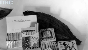 Papierosy różnych gatunków w oryginalnych opakowaniach