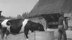 Polska wieś w latach 70. zeszłego stulecia