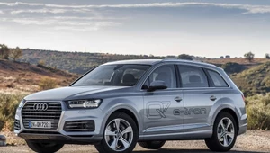 ​Audi Q7 e-tron 3.0 TDI już w Polsce