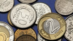 Stawka 12 zł za godzinę to pożywka dla szarej strefy