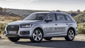 Audi Q7 e-tron 3.0 TDI dostępne w Polsce