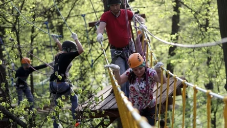 ​Atrakcje dla osób bez lęku wysokości. To najlepsze parki linowe w Polsce