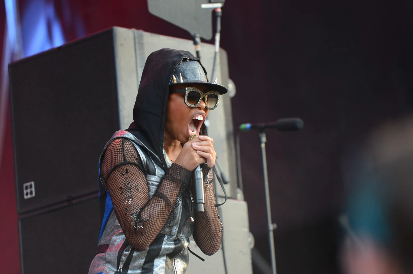 Skunk Anansie