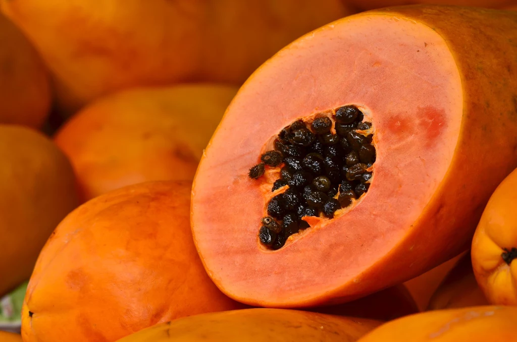 Melonowiec właściwy - oficjalna nazwa papai - to radość dla kubków smakowych, a także liczne wartości prozdrowotne