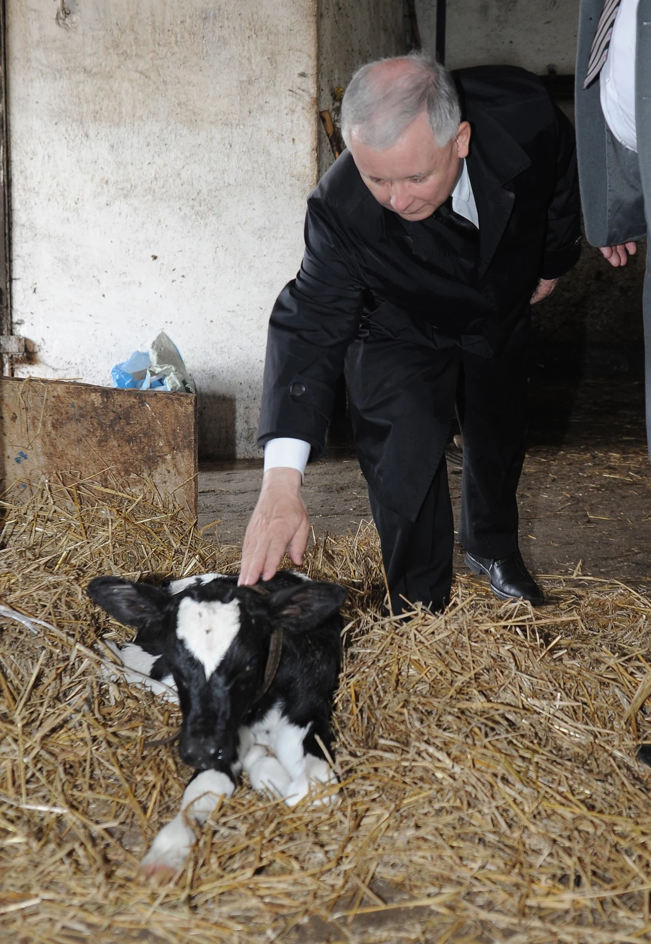 Jarosław Kaczyński 