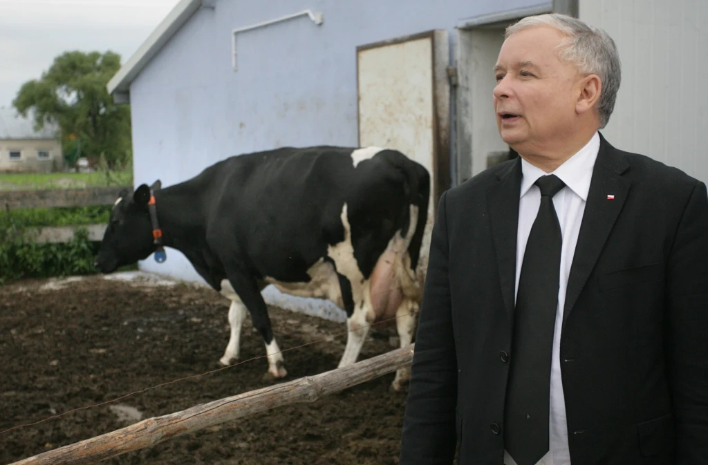 Jarosław Kaczyński 