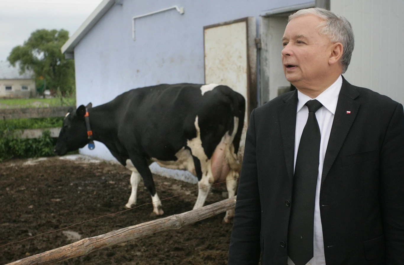 Jarosław Kaczyński 