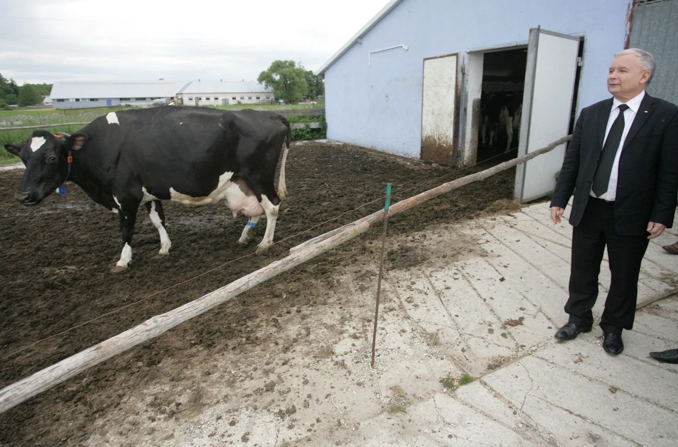 Jarosław Kaczyński 