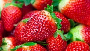 Wszyscy wyrzucają do kosza, a to najlepsza część truskawki