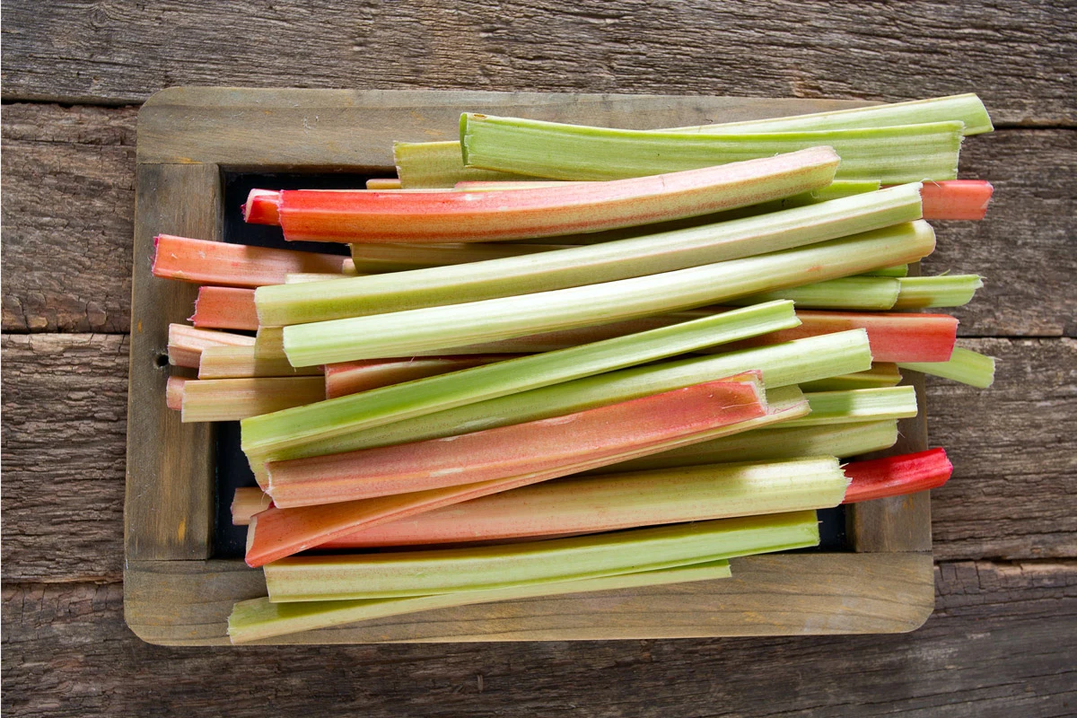 Sezon na rabarbar rozpoczyna się wraz z początkiem kwietnia Sezon na rabarbar rozpoczyna się wraz z początkiem kwietnia