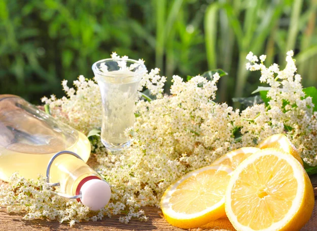 Kwiaty czarnego bzu idealnie pasują do orzeźwiającej lemoniady