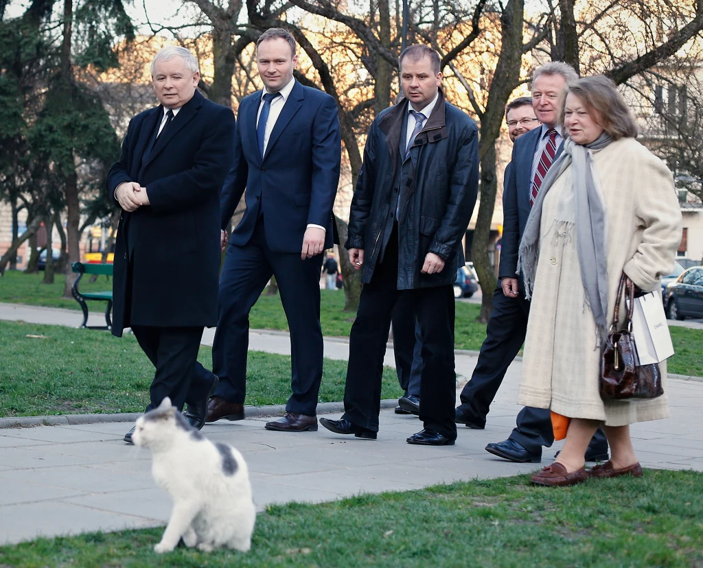 Jarosław to wielki miłośnik kotów Jarosław to wielki miłośnik kotów