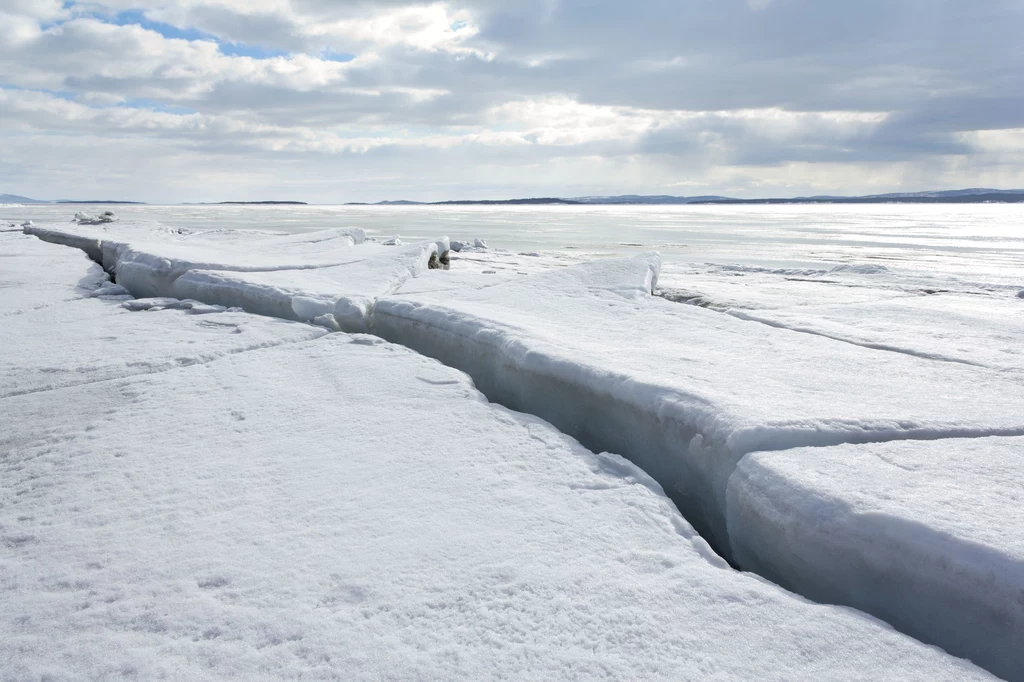 W Arktyce jest wyjątkowo mało lodu, zdjęcie ilustracyjne