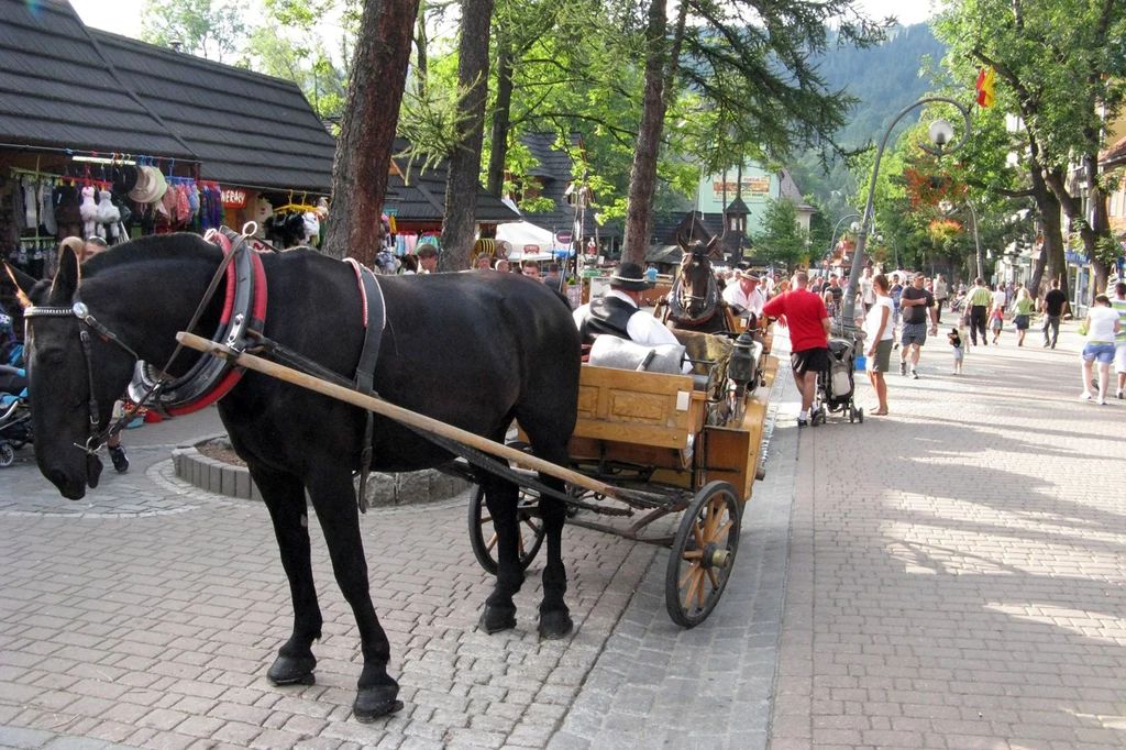 Zakopane, Fot. Piotr Kamionka/Angora/REPORTER