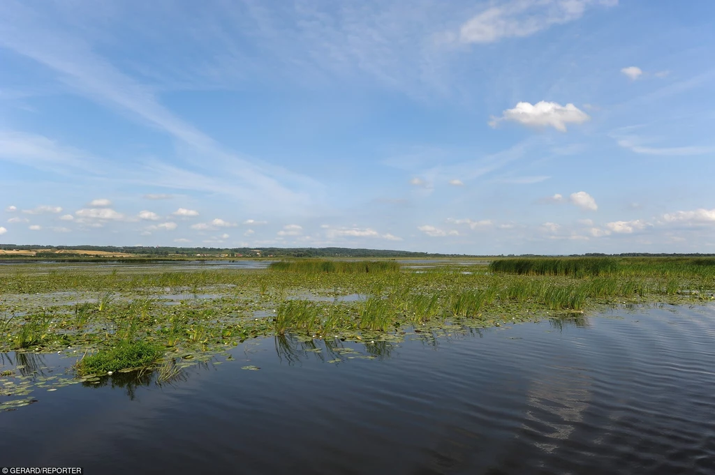 Żuławy Wiślane/fot. Gerard