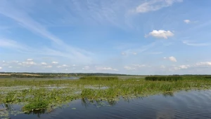 Żuławy Wiślane - polskie Niderlandy