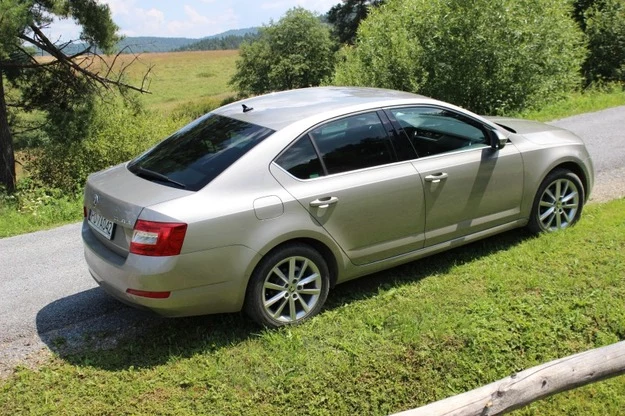 Skoda Octavia to często wybierane auto flotowe