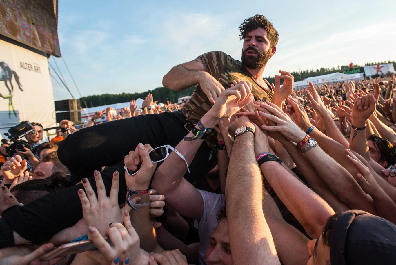 Foals