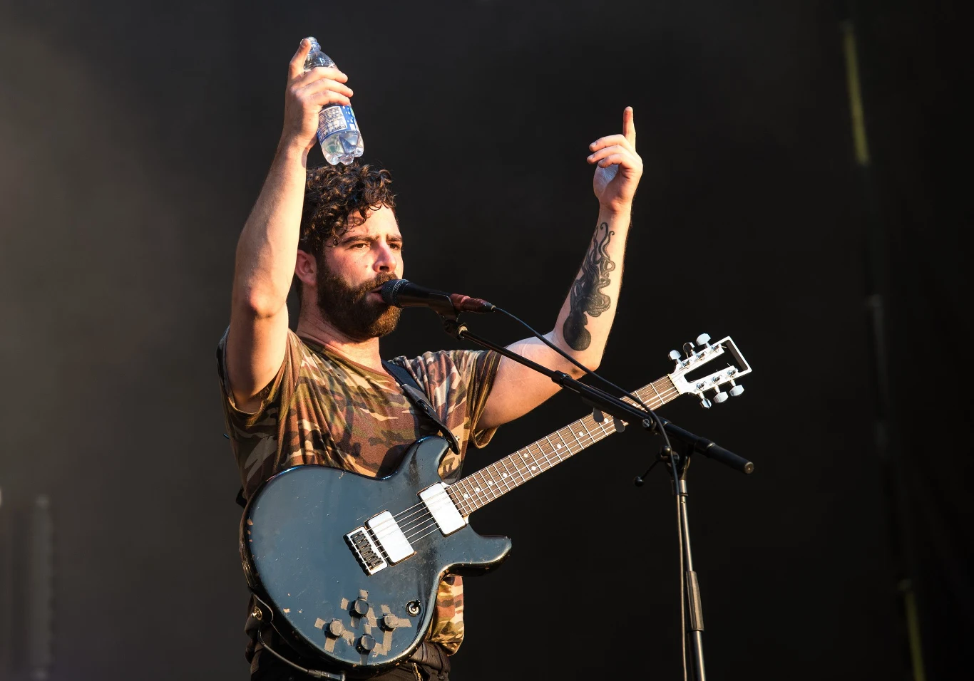 Foals