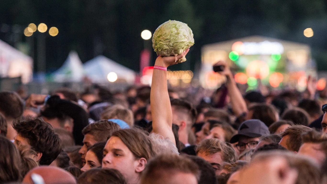 Publiczność w trakcie drugiego dnia Open'er Festival 2016