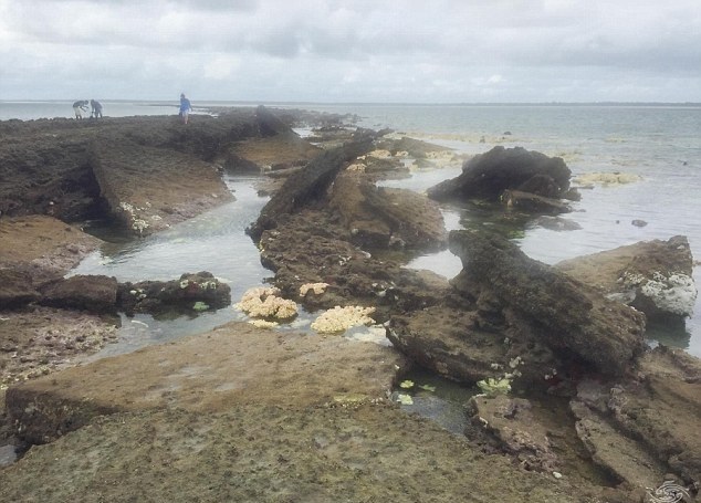 Odkryto kilka tysięcy kamiennych bloków ułożonych jeden obok drugiego. Niektóre zapadły się pod fundamenty, a inne wciąż na nich stoją   Fot. Seaunseen/Alan Sutton