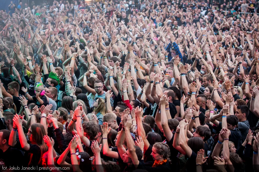 Publiczność podczas koncertu Farben Lehre na Jarocin Festiwalu