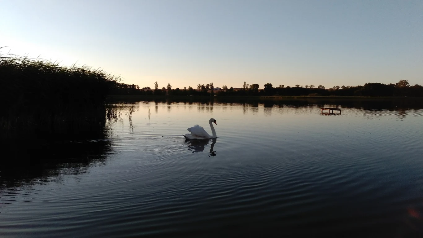 Zdjęcie wykonane telefonem ZTE Axon Mini Zdjęcie wykonane telefonem ZTE Axon Mini