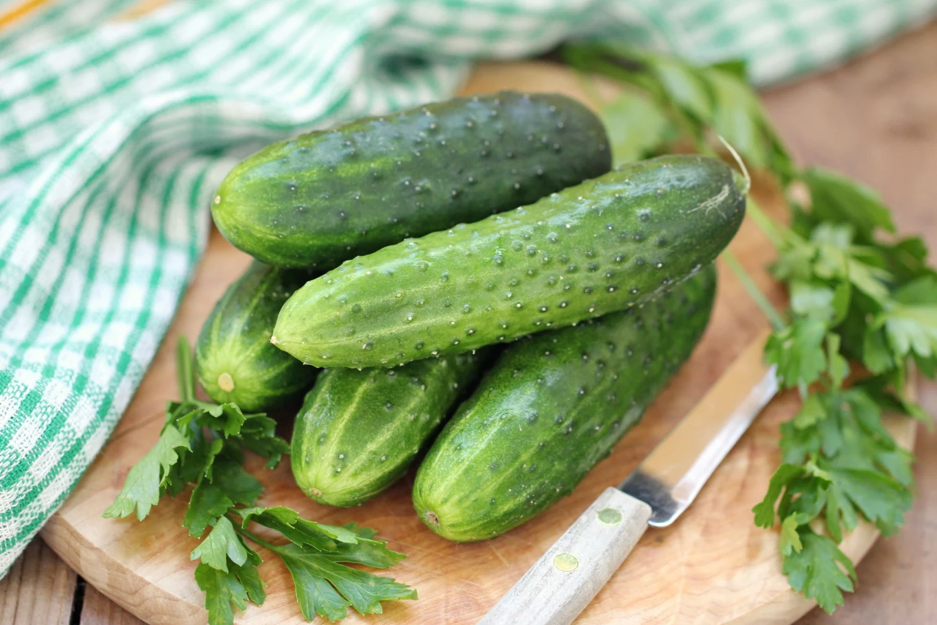 Odpowiednio nawożone ogórki będą smaczne i chrupiące