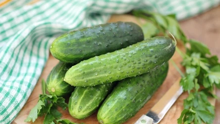 Jak zadbać o gorzkie ogórki? W ten sposób pozbawisz je goryczki