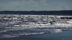 Część kąpielisk w Gdańsku zamknięta  