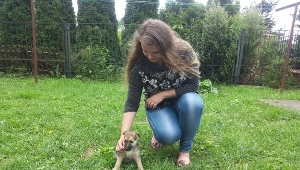 Uratowany szczeniak