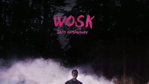 Recenzja Taco Hemingway "Wosk": Kariera zawisła na Wosku