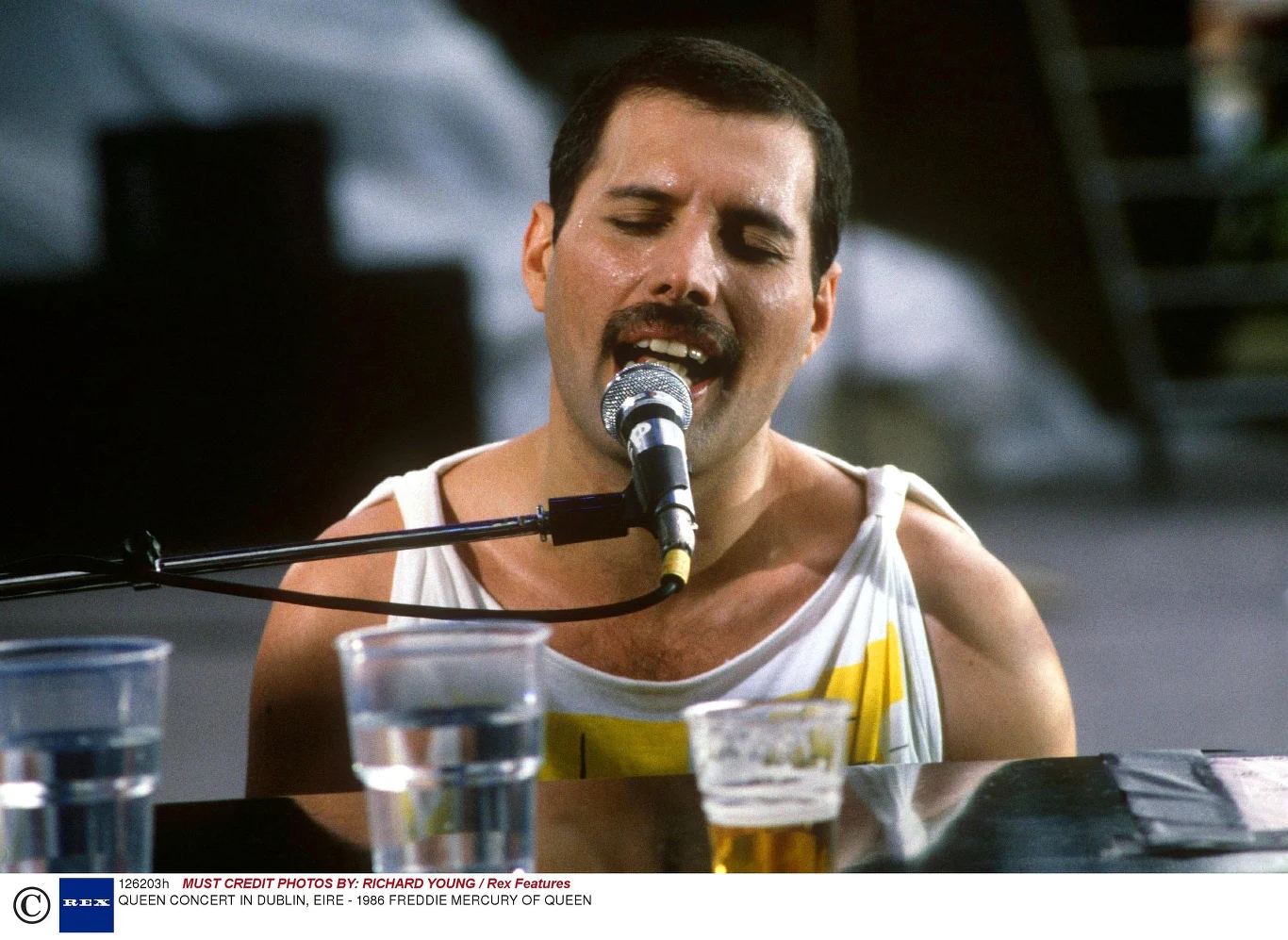 Freddie Mercury w 1986 roku Freddie Mercury w 1986 roku