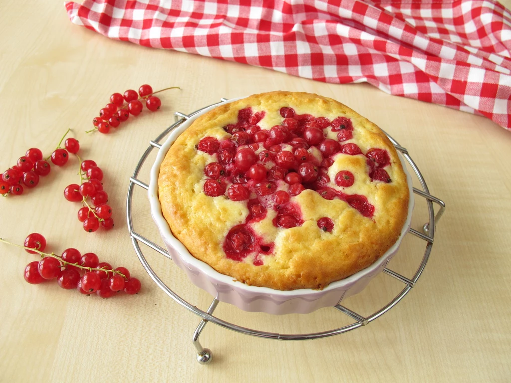 Wystudzone ciasto oprósz cukrem pudrem i udekoruj porzeczkami