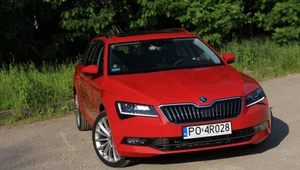 Skoda Superb Combi. Miłość od pierwszego spojrzenia? Chyba nie. 