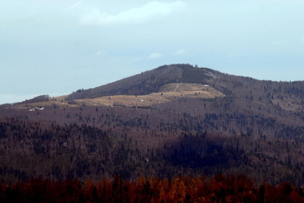 Mogielica w Beskidzie Wyspowym/fot. M. Lasyk