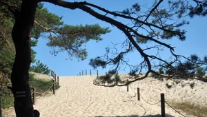 Ostatnie dzikie plaże. Słowiński Park Narodowy 