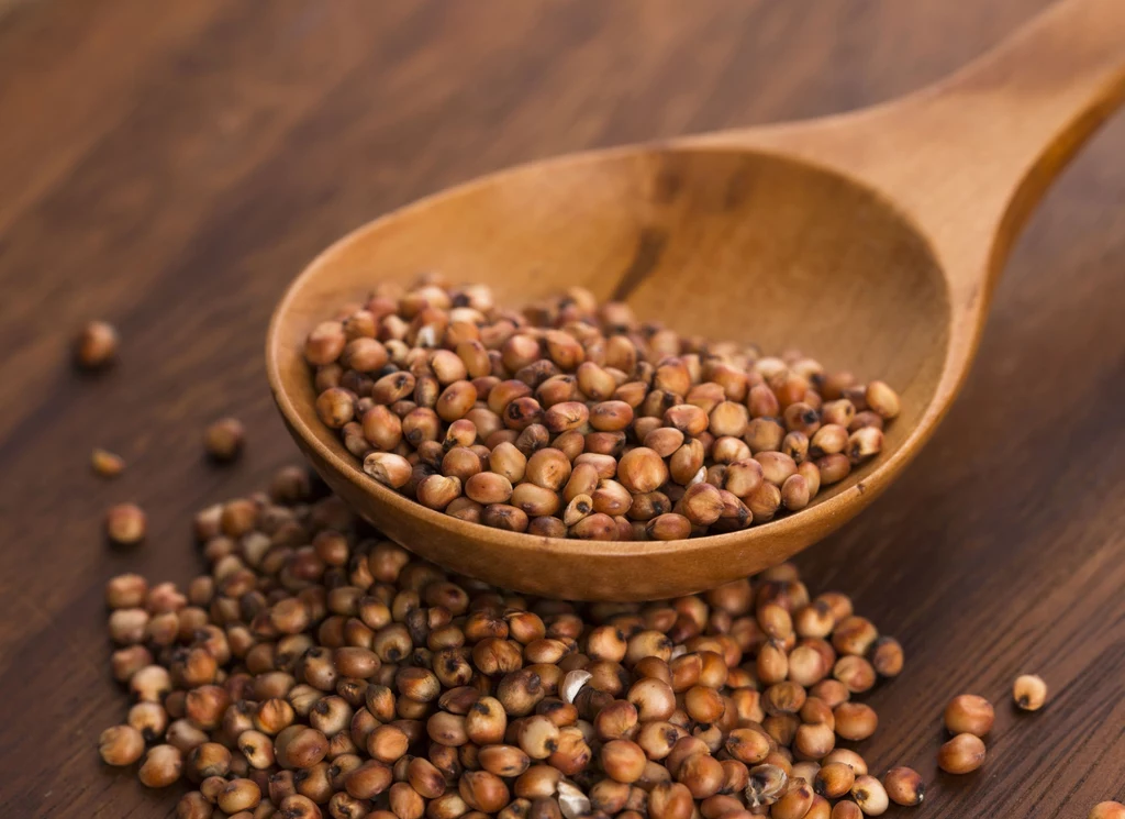 Sorgo - nowy superfood Sorgo - nowy superfood