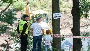 Wykopy cieszą się dużym zainteresowaniem