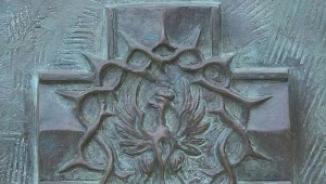 Symbol Zrzeszenie Wolność i Niezawisłość