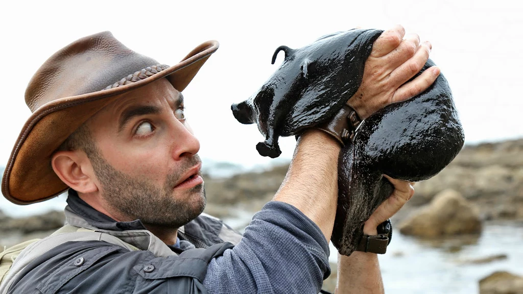 Coyote Peterson i czarny zając morski Coyote Peterson i czarny zając morski
