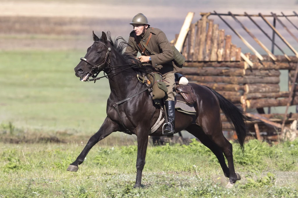 Inscenizacja bitwy pod Mławą