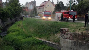 Służby pracują w okolicach rzeki Piława w Dzierżoniowie 
