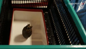 Granat pochodzi z okresu II wojny światowej