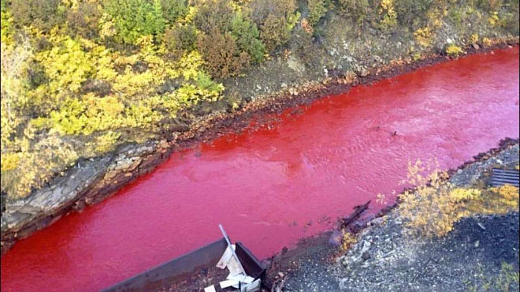 Rzeka Daldykan zmieniła nagle kolor na czerwony. Fot. Stowarzyszenie Rdzennych Mieszkańców Tajmyru